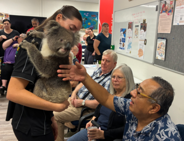 Person holding a koala while community members interact with the animal during an indoor wildlife visit