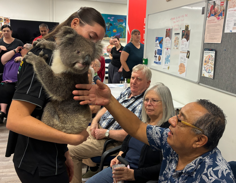 Person holding a koala while community members interact with the animal during an indoor wildlife visit