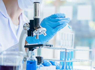 Researchers in a lab
